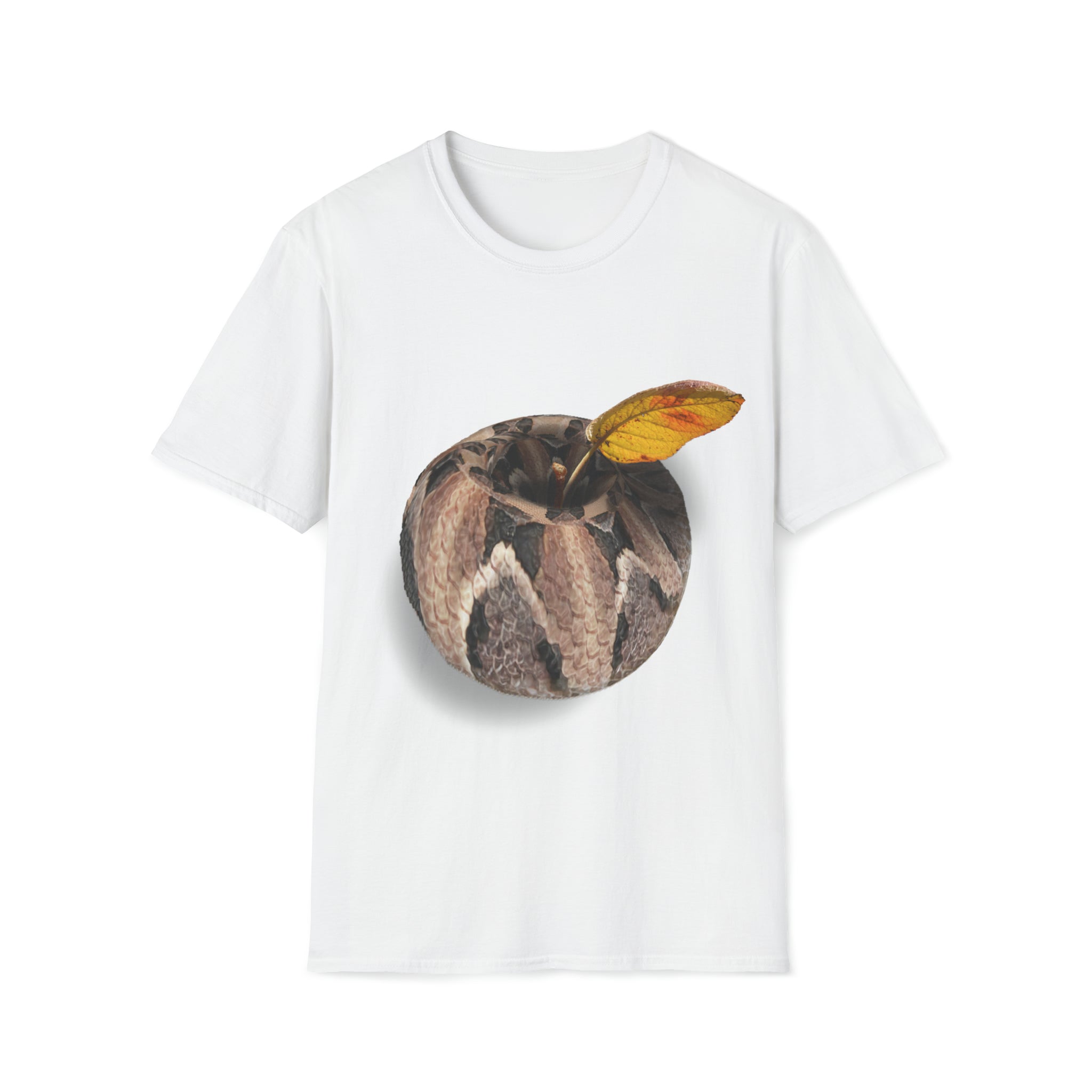 T Shirt Collection