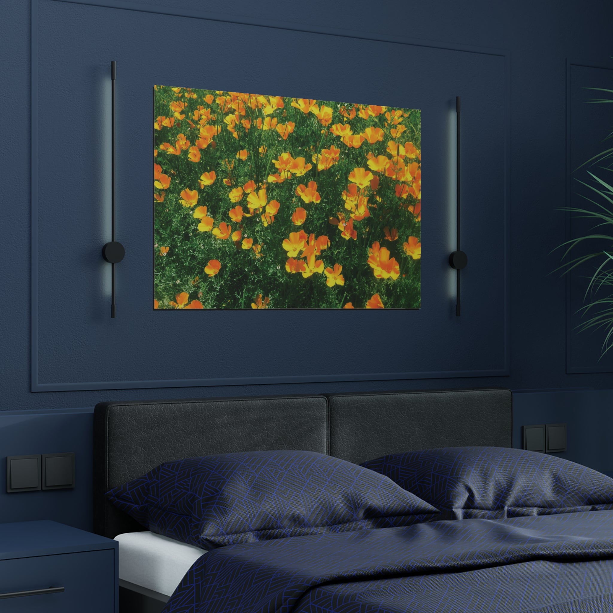 California Poppies in Big Sur, California - Satin Poster (300gsm)