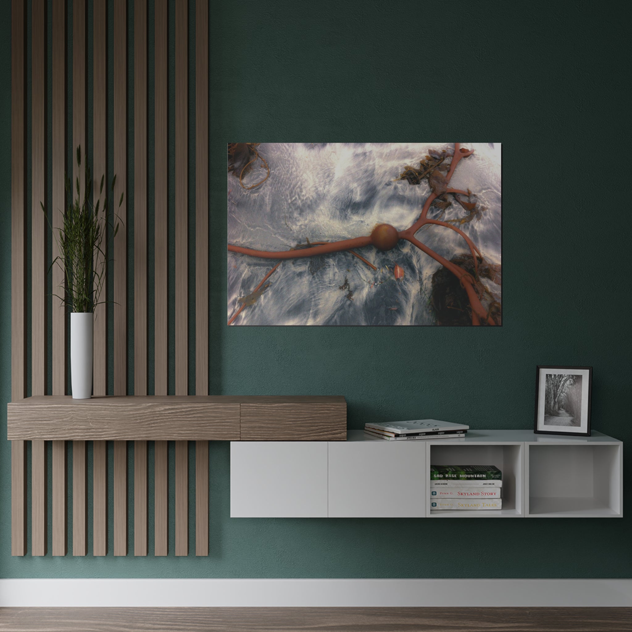 Giant Sea Kelp, Coronado Island, San Diego, California - Satin Poster (300gsm)