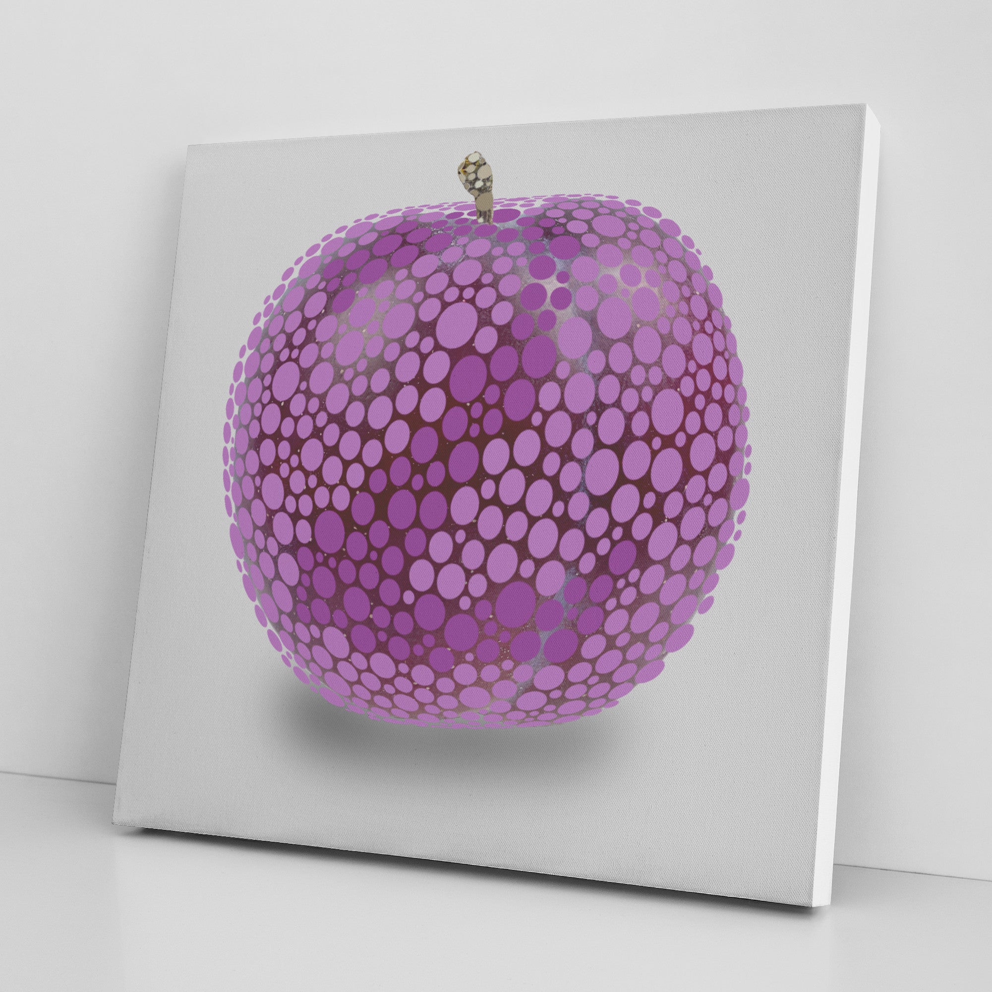 Ishihara Plum Fruit Abstract Artwork Canvas Print