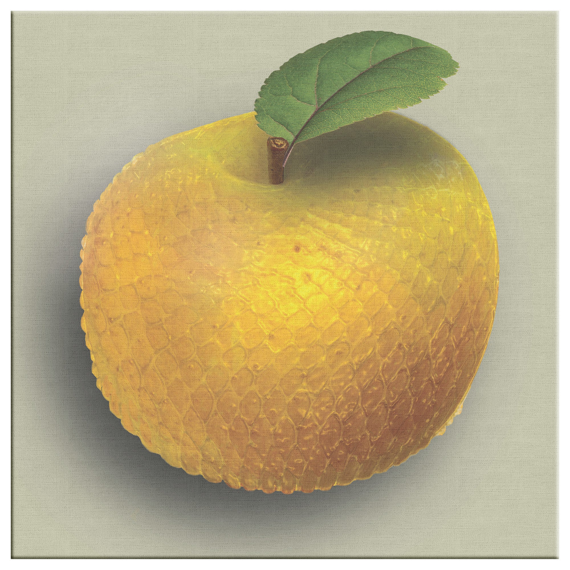 The Adam and Eve Apple: Original Sin Series Canvas Print