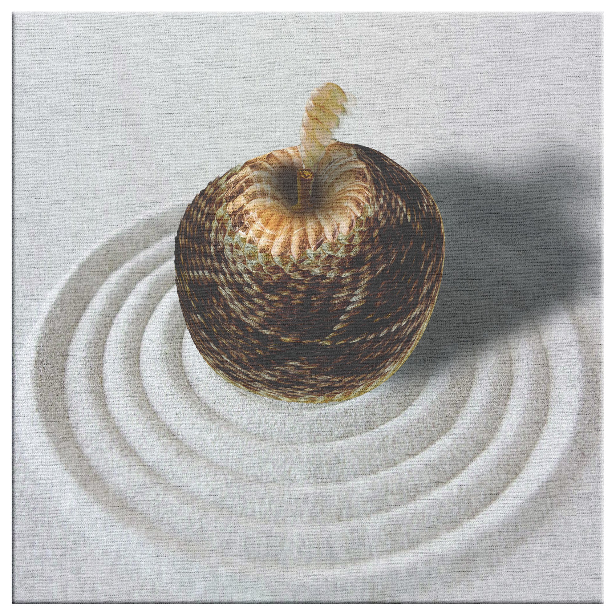 The Adam and Eve Apple: Original Sin Series Canvas Print