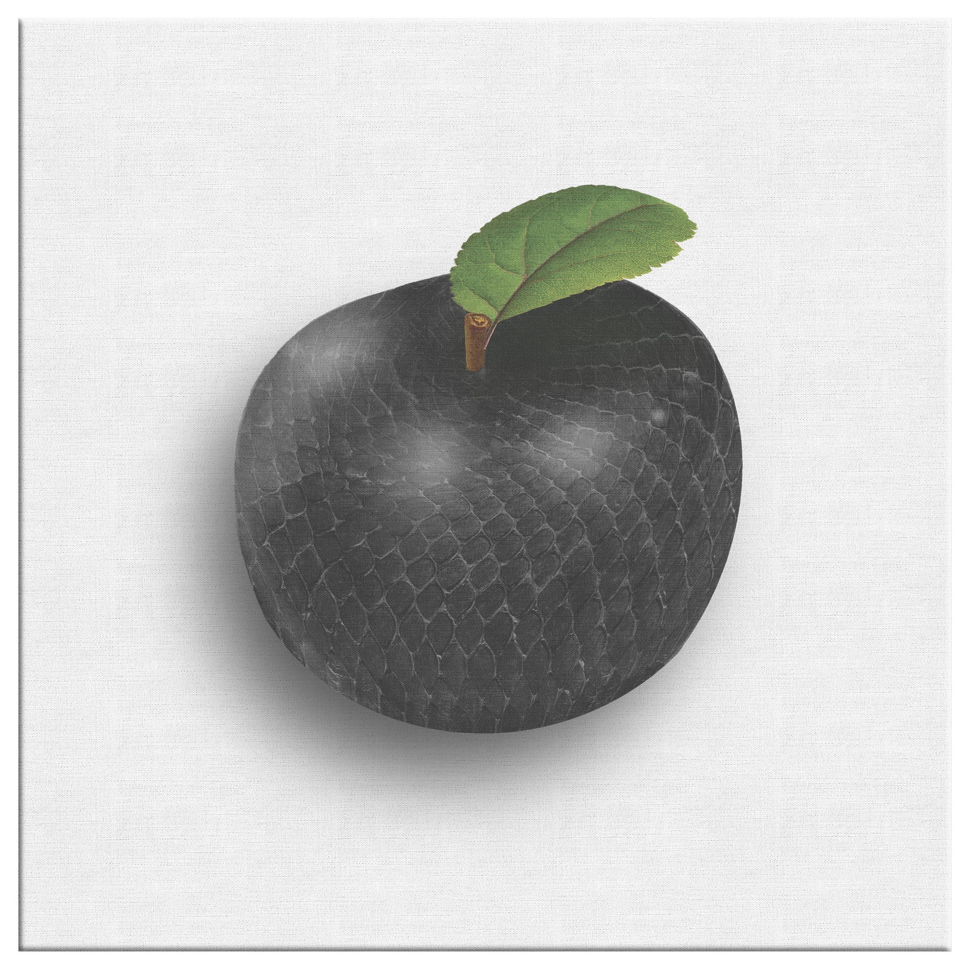The Adam and Eve Apple: Original Sin Series Canvas Print