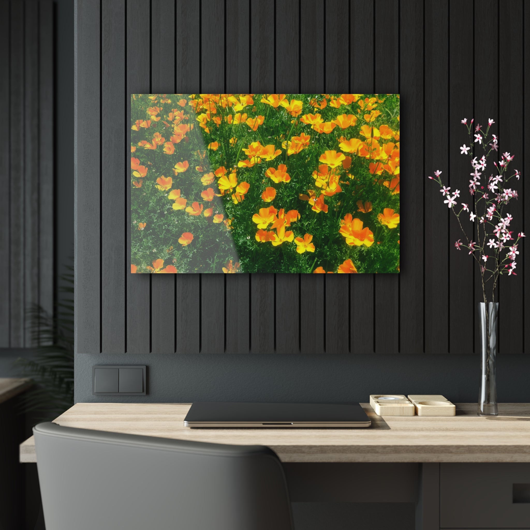 Orange California Poppies in Big Sur, California - Acrylic Print