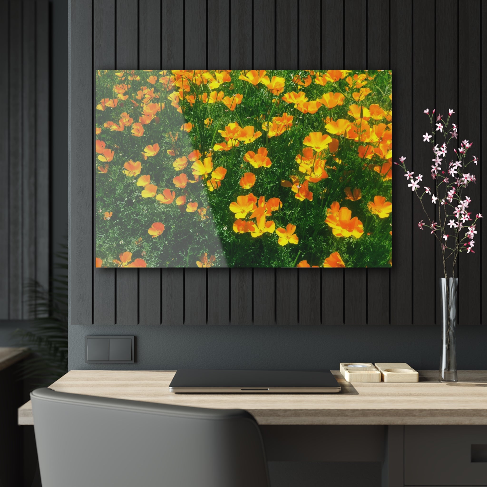 Orange California Poppies in Big Sur, California - Acrylic Print