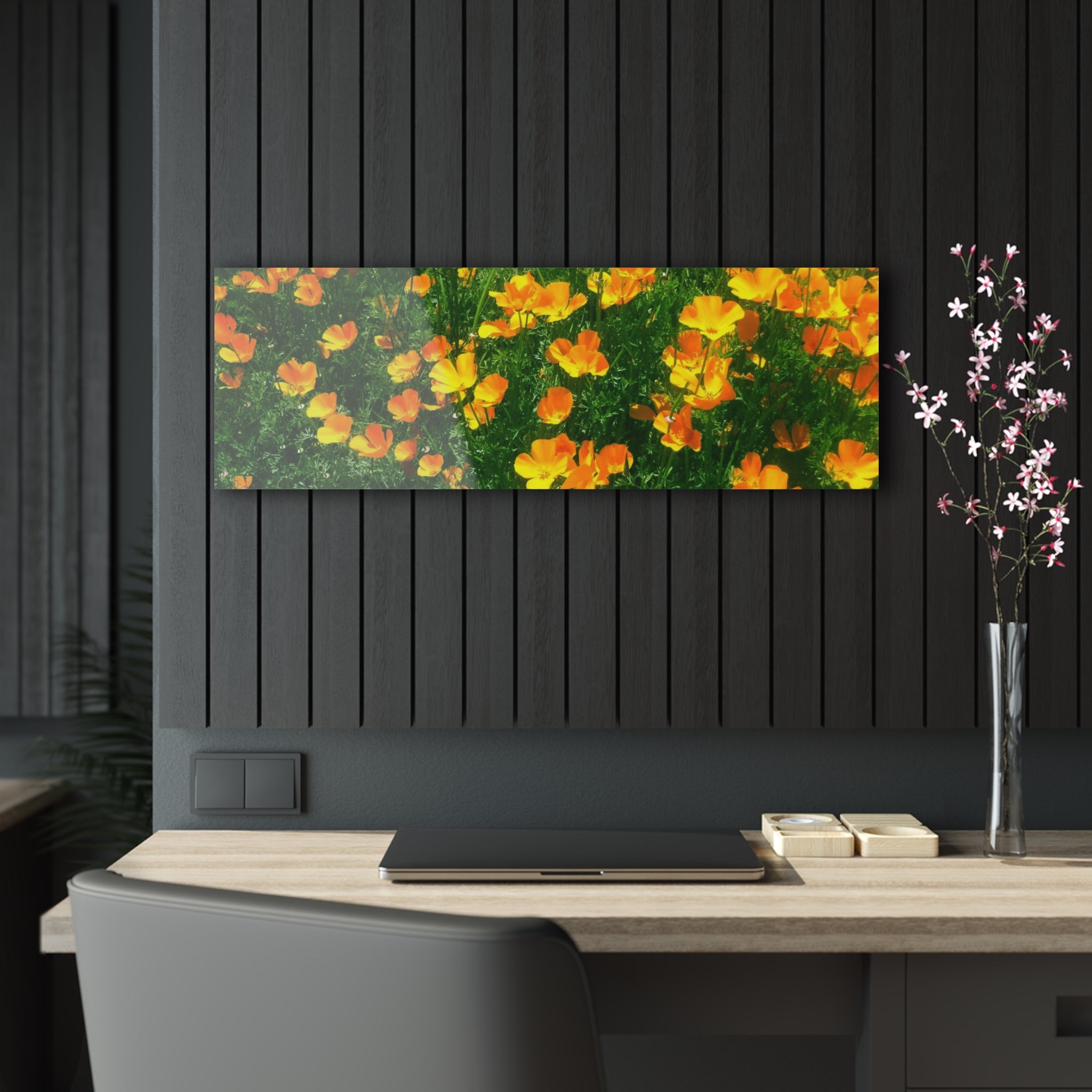 Orange California Poppies in Big Sur, California - Acrylic Print