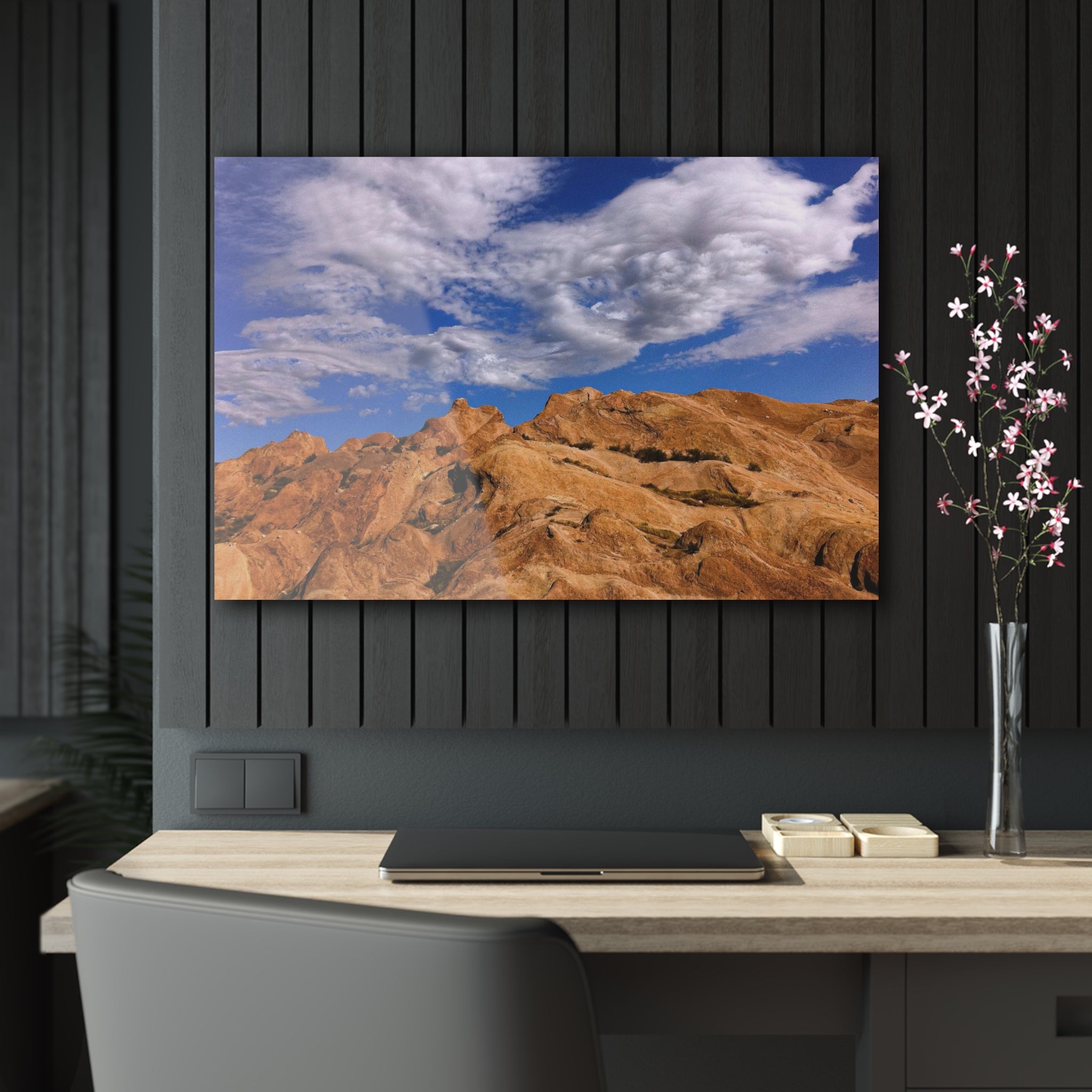 Vasquez Rocks Natural Area Park, Agua Dulce, California - Acrylic Print