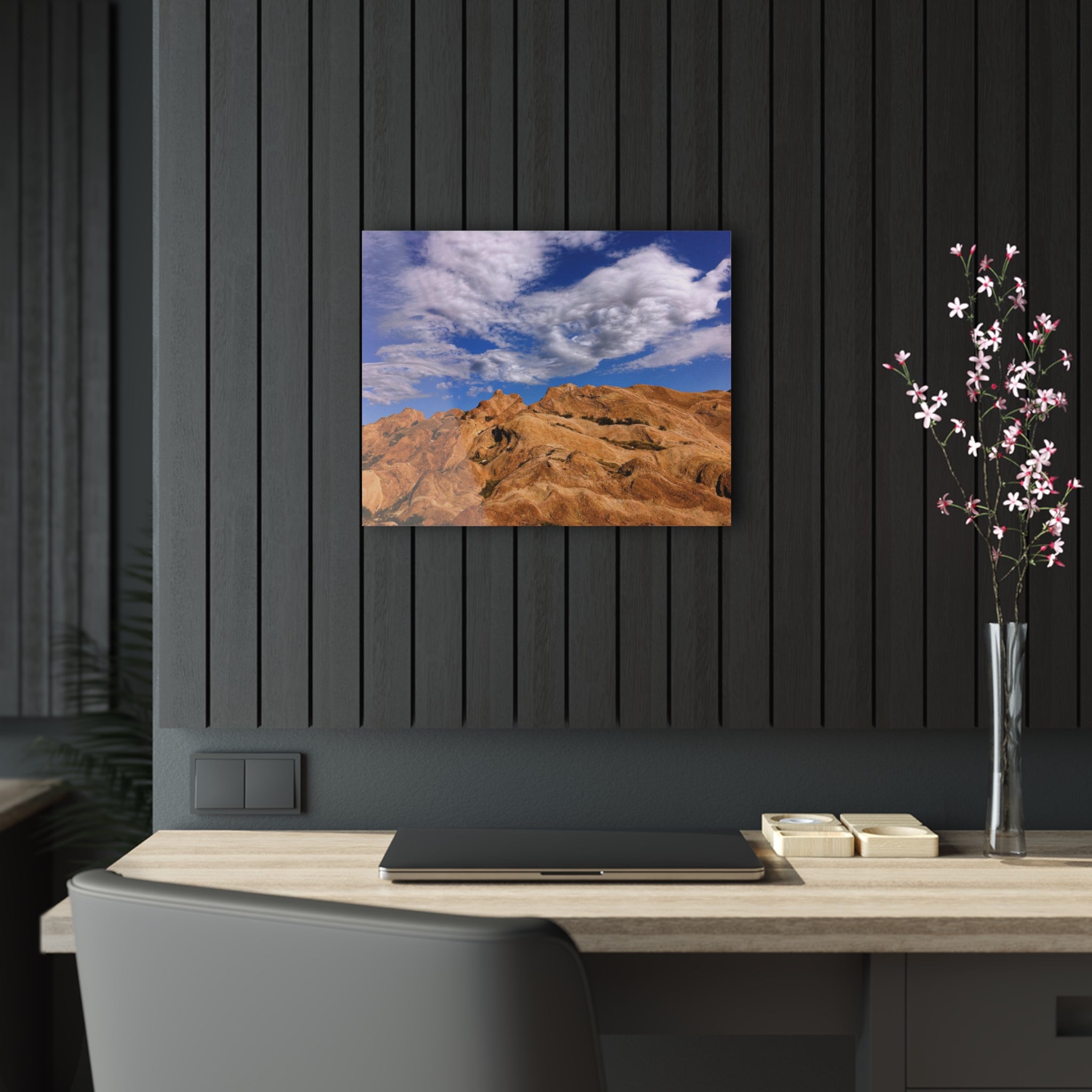 Vasquez Rocks Natural Area Park, Agua Dulce, California - Acrylic Print