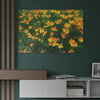 California Poppies in Big Sur, California - Satin Poster (300gsm)