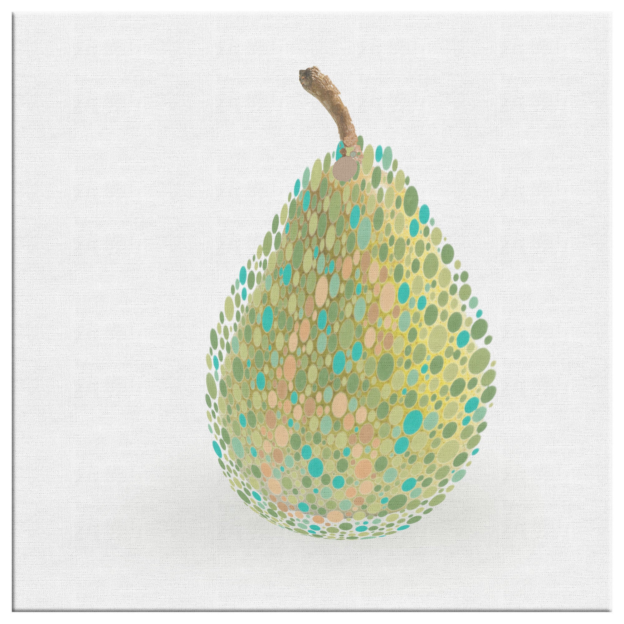 Ishihara Pear Fruit Abstract Canvas Print